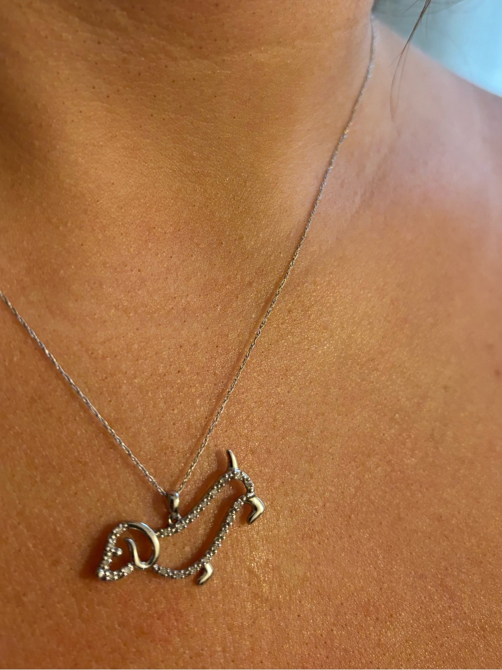 10k White gold Dachshund Pendant Necklace